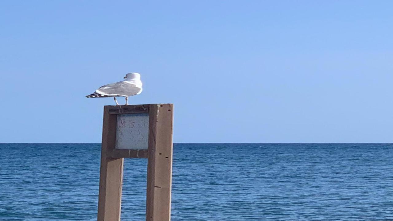 Welooveyou Aqua Lajita Eksteriør billede